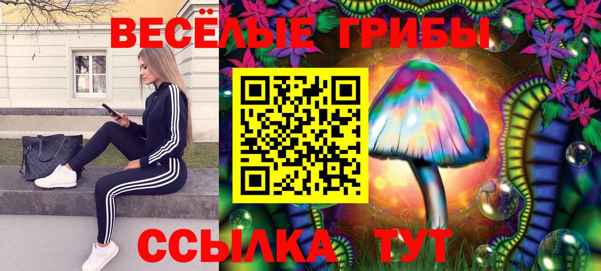 Еманжелинск  Галлюциногенные грибы Psilocybine cubensis  Вход с VPN 