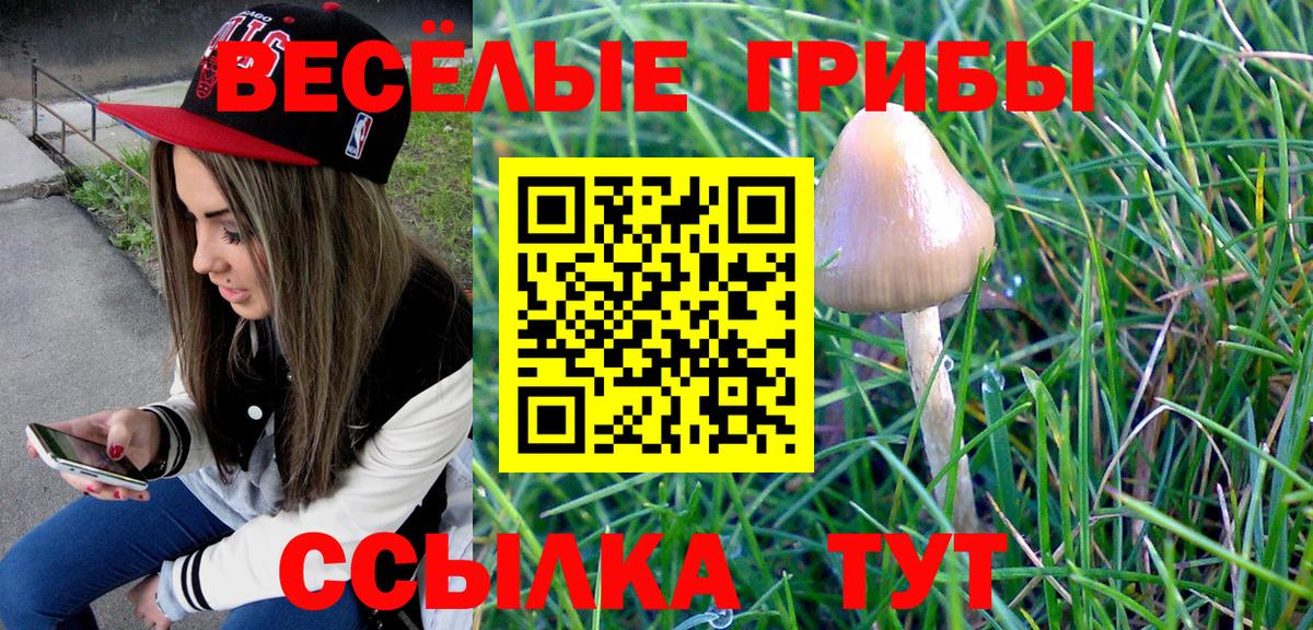 Псилоцибиновые грибы мицелий Еманжелинск